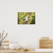 Milchweed-Fotoplakat Poster (Küche)