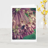 Milchweh und Fliege Karte (Gelbe Blume)