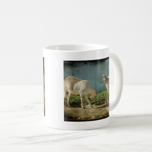 Milchziegen Kaffeetasse (VorderseiteRechts)