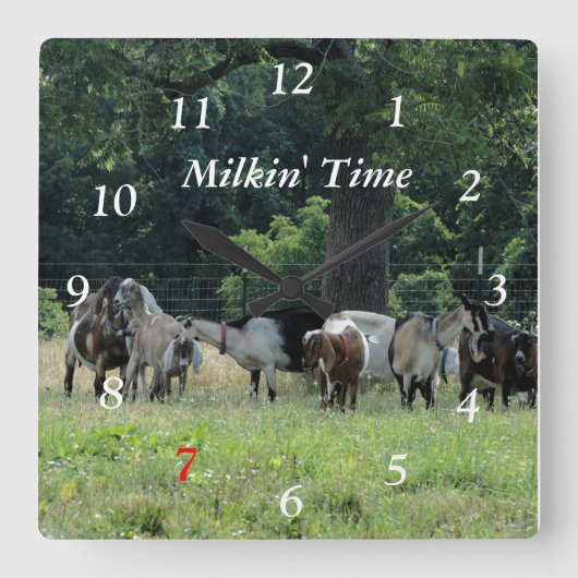 Milchziegen Uhr - Größe anpassen (Vorderseite)