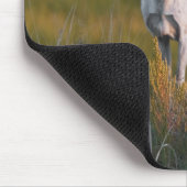 Mildere weiße Rotwild 2 Mousepad (Ecke)