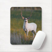 Mildere weiße Rotwild 2 Mousepad (Mit Mouse)