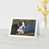 Miley wird gestört karte (Gelbe Blume)