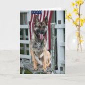 Militärhund Karte (Gelbe Blume)