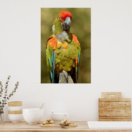 Militärisches Rüstzeug schließen Poster (Küche)