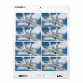 Militärjet (Vorne)