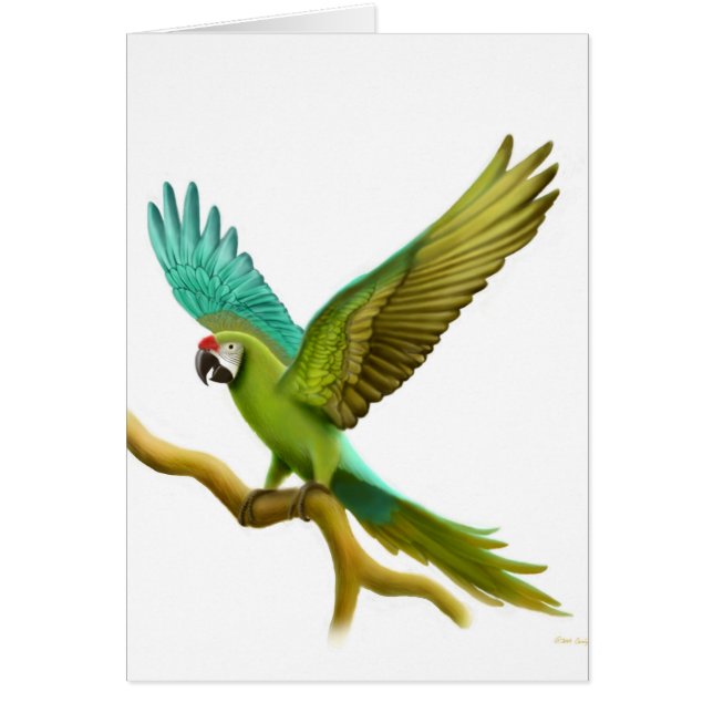 Militärmacaw-Karte (Vorne)