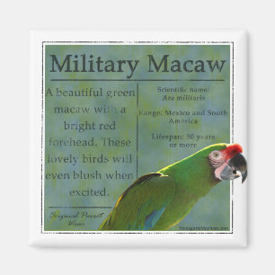 Militärmacaw-Magnet Magnet