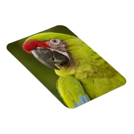 Militärpolizei Magnet (Rechte Seite)