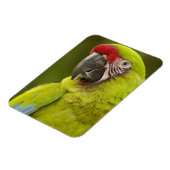 Militärpolizei Magnet (Linke Seite)