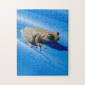 Milk Frog auf einem Blue Pool Floating Puzzle (Vertikal)