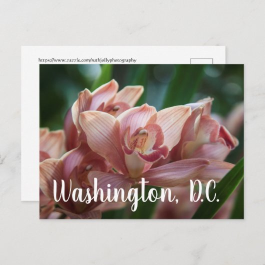 Milk Tea Orchid Washington D.C. Postkarte (Vorne/Hinten)