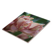 Milk Tee Orchid Fliese (Seite)