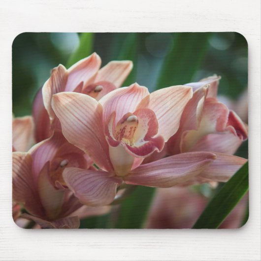 Milk Tee Orchid Mousepad (Vorne)