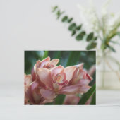 Milk Tee Orchid Postkarte (Stehend Vorderseite)