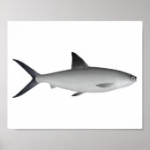 Milkfish Magnet Poster (Vorne)