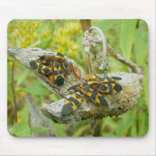 Milkweed Bugs Family #1 Mousepad