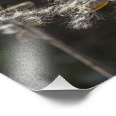 Milkweed Fotodruck (Ecke)