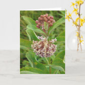 Milkweed is Pretty Karte (Gelbe Blume)
