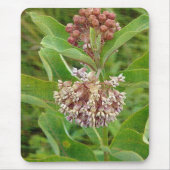 Milkweed ist Hübsch Mousepad (Vorne)