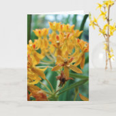 Milkweed Karte (Gelbe Blume)