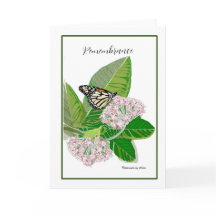 Milkweed & Monarch-Karte