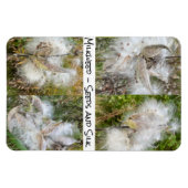 Milkweed | Natürlich flexibel Magnet (Horizontal)