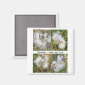 Milkweed | Natürlich Magnet (Vorderseite/Rückseite)