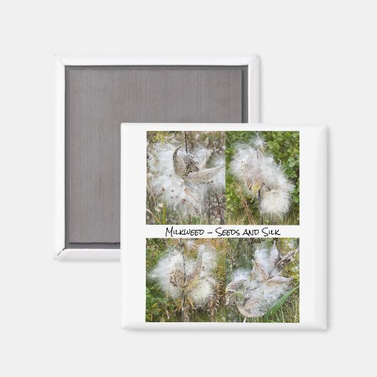 Milkweed | Natürlich Magnet (Vorderseite/Rückseite)