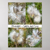 Milkweed | Natürlich Poster (Vorne)