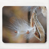 Milkweed Pod Macro Mousepad (Vorne)