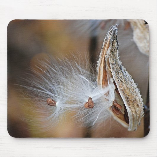 Milkweed Pod Macro Mousepad (Vorne)