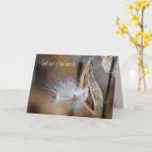 Milkweed Pod wird bald gut Karte (Gelbe Blume)