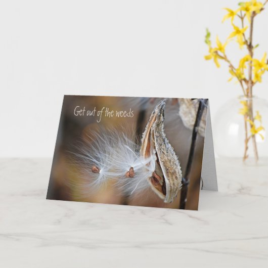 Milkweed Pod wird bald gut Karte (Gelbe Blume)