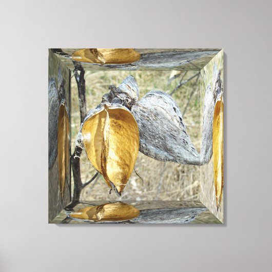 Milkweed Pods - Spiegelbox Leinwanddruck (Vorderseite)