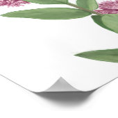 Milkweed Poster (Ecke)