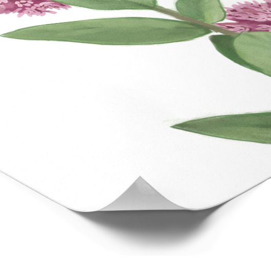 Milkweed Poster (Ecke)