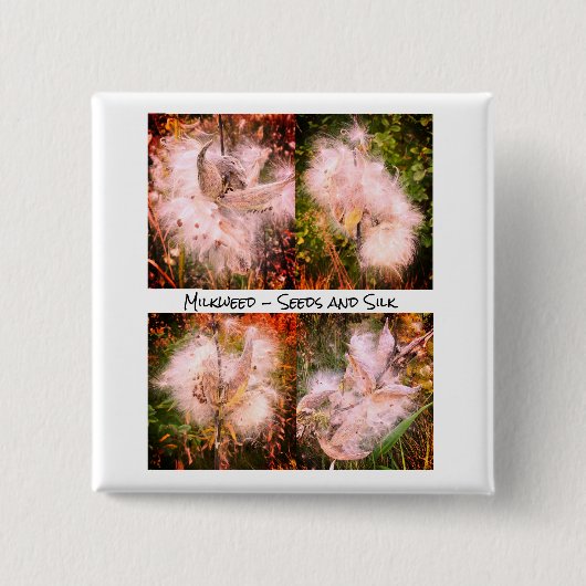 Milkweed | Sangria Button (Vorderseite)