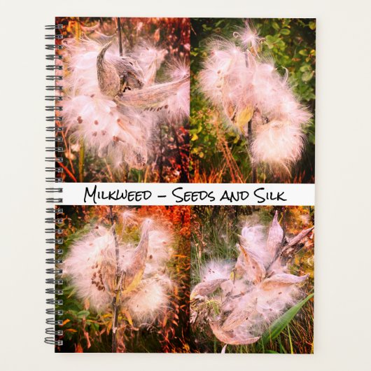 Milkweed | Sangria Planer (Vorderseite)