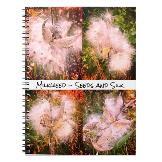 Milkweed | Sangria Spiral Notizblock (Vorderseite)