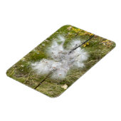 Milkweed | Schmetterling | Flexibel Magnet (Linke Seite)