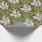 Milkweed | Schmetterling | Geschenkpapier (Ecke)