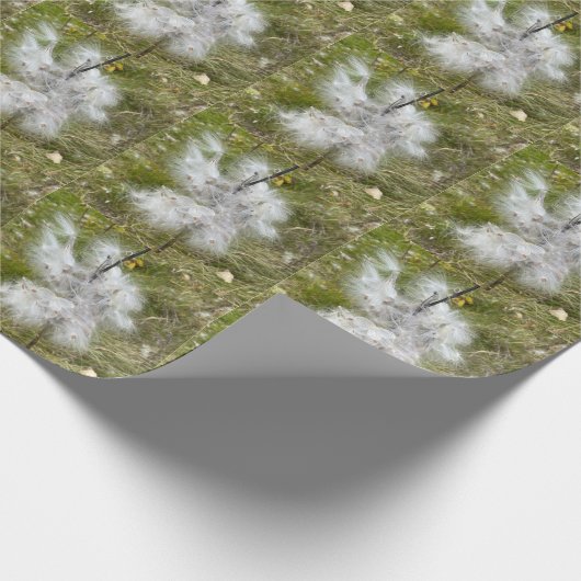 Milkweed | Schmetterling | Geschenkpapier (Ecke)