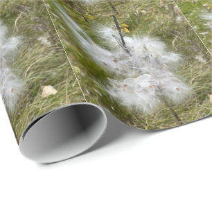 Milkweed   Schmetterling   Geschenkpapier