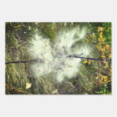 Milkweed | Schmetterling | Geschenkpapier Set (Vorderseite 2)