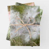 Milkweed | Schmetterling | Geschenkpapier Set (Beispiel)