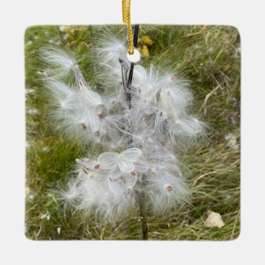Milkweed | Schmetterling | Keramikornament (Vorderseite)
