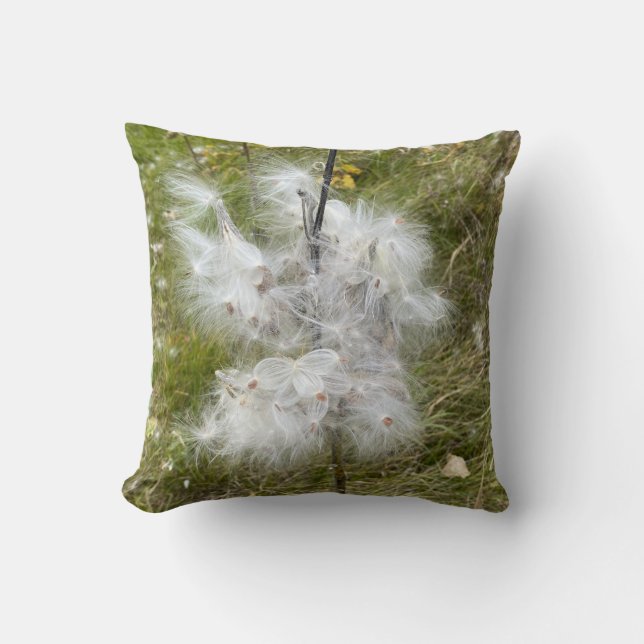 Milkweed | Schmetterling | Kissen (Vorderseite)