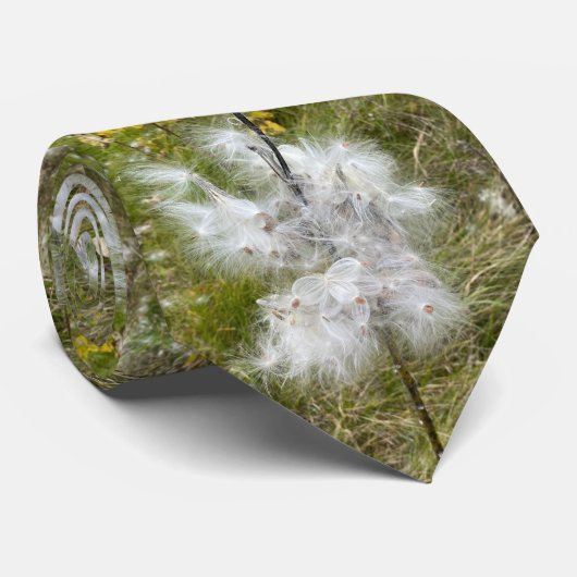 Milkweed | Schmetterling | Krawatte (Gerollt)