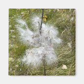 Milkweed | Schmetterling | Magnet (Vorne)